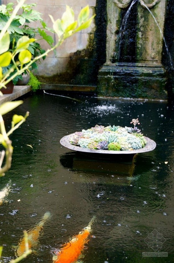 倫敦古玩家Will Fisher的花園