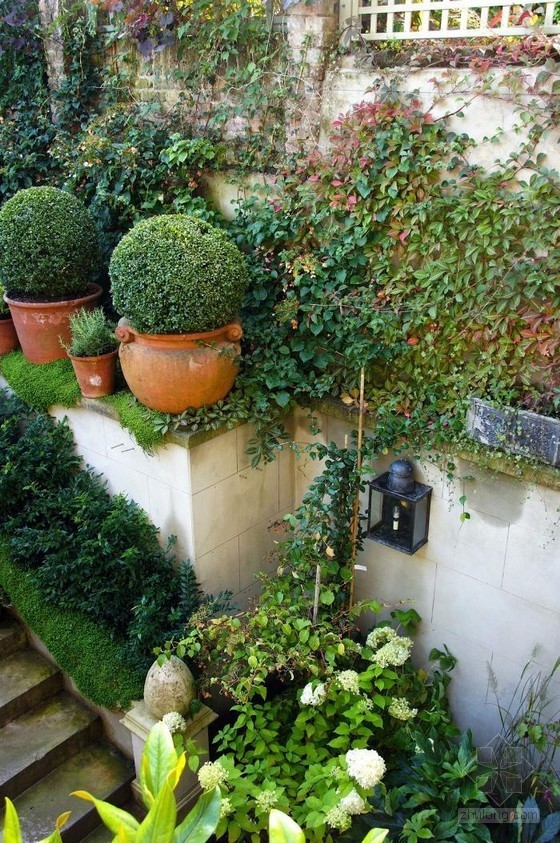 倫敦古玩家Will Fisher的花園