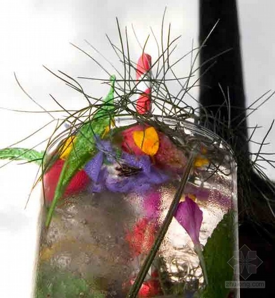 Lottie Muir設計的倫敦屋頂的雞尾酒花園酒吧