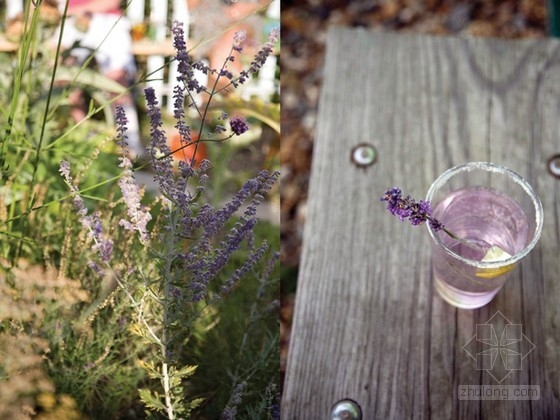 Lottie Muir設(shè)計的倫敦屋頂?shù)碾u尾酒花園酒吧