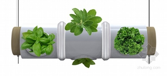 ThibautDelefortrie等設(shè)計(jì)的燈管上的香草花園