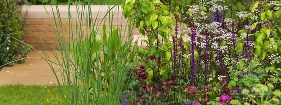 2013切爾西花展金獎：“播下改變之種”花園