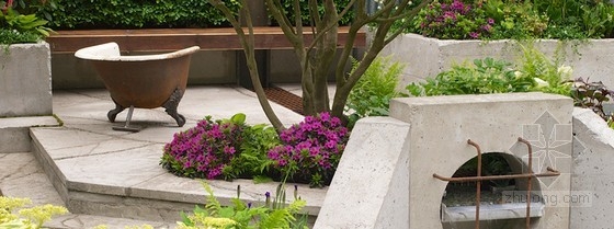 2013切爾西花展金獎：“荒原”花園