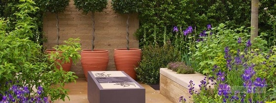 2013切爾西花展金獎：“播下改變之種”花園