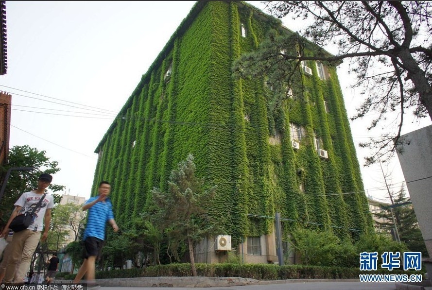 北京：滿樓盡穿“綠片甲” 清涼環(huán)保惹人眼
