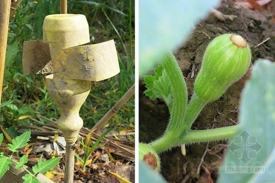 布宜諾斯艾利斯的“回響村”