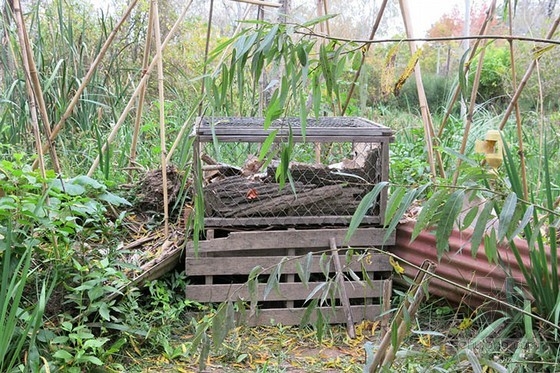 布宜諾斯艾利斯的“回響村”