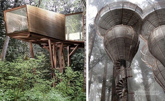 Antony Gibbon設計的樹屋Embryo