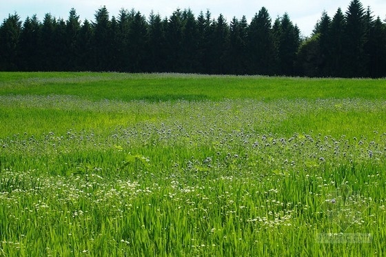 德國數字農業景觀