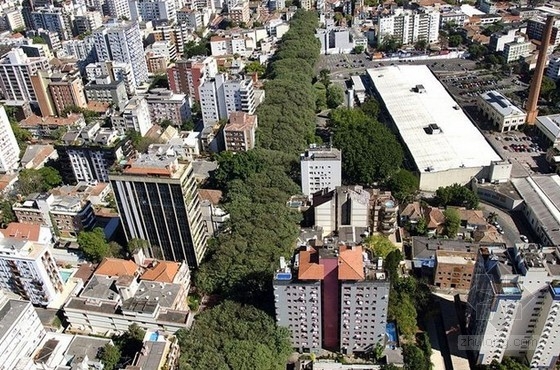 世界上最美的街道----巴西阿雷格里港大街