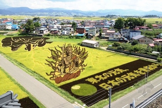 日本田舍館村村民設計的巨型稻田插畫藝術