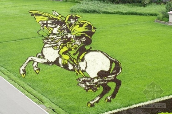 日本田舍館村村民設計的巨型稻田插畫藝術