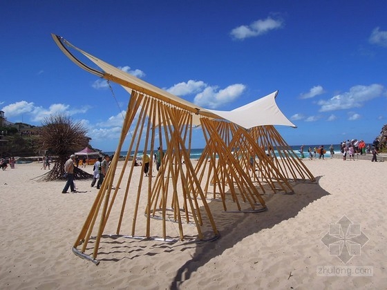 澳大利亞海灘涼亭bamboo waves