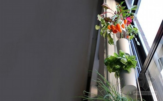 Britta Riley設計的窗戶垂直花園