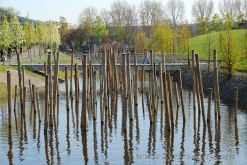 阿姆斯特丹辛克爾島公園