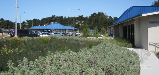 希拉門托圖書館雨水花園