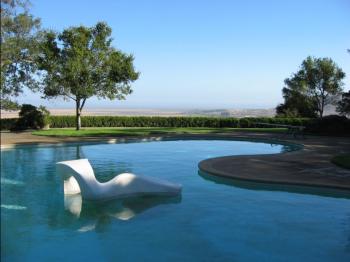 托馬斯·丘奇作品：唐納花園