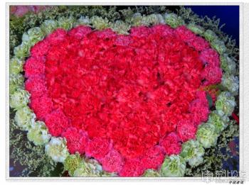 資材資訊_花木市場資訊_花木頻道