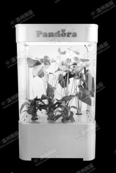 新品種_園林成果_園林科技