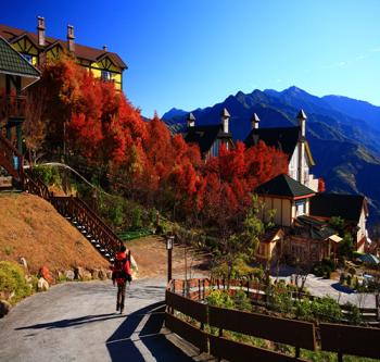 臺灣休閑農業——清境農場（組圖）