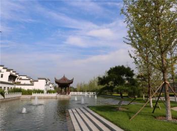 精品園林獎大獎(三)：鷹山北部區域綠化景觀工程