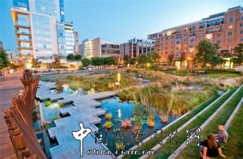 城市中的綠洲——唐納德溪水公園(組圖)