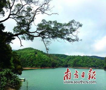 園林城市_國家園林城鎮