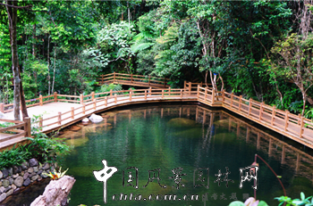 精品園林獎(jiǎng)：五指山自然保護(hù)區(qū)雨林棧道工程