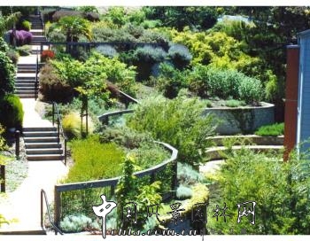 杰弗里·米勒：“順勢(shì)而建”的住區(qū)花園