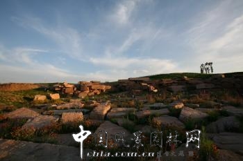 章俊華：“時”與“序” 的感悟