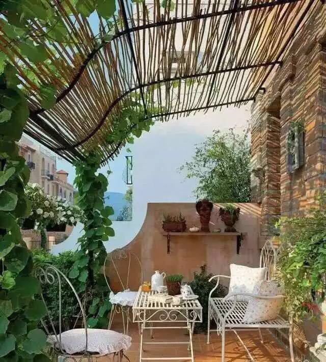 園藝：院子里夢境般的花果藤架