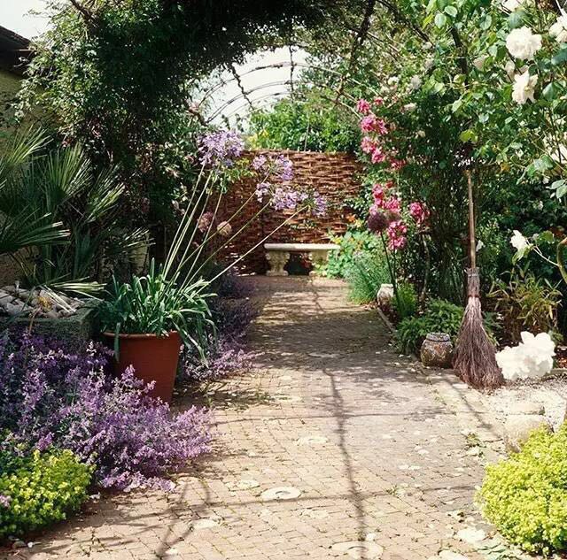 園藝：院子里夢境般的花果藤架