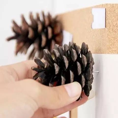 松果飾品，那些你想不到的美麗