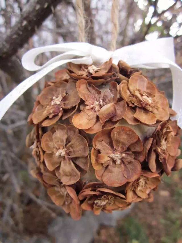 松果飾品，那些你想不到的美麗