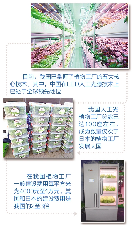 北京農眾物聯的自然光植物工廠車間