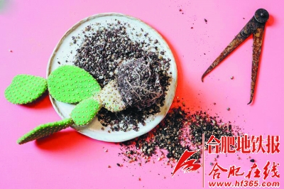 3.jpg 沙漠風情的多肉植物拼盆