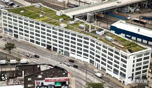 1_副本.jpg 全球最大屋頂菜園如何運營