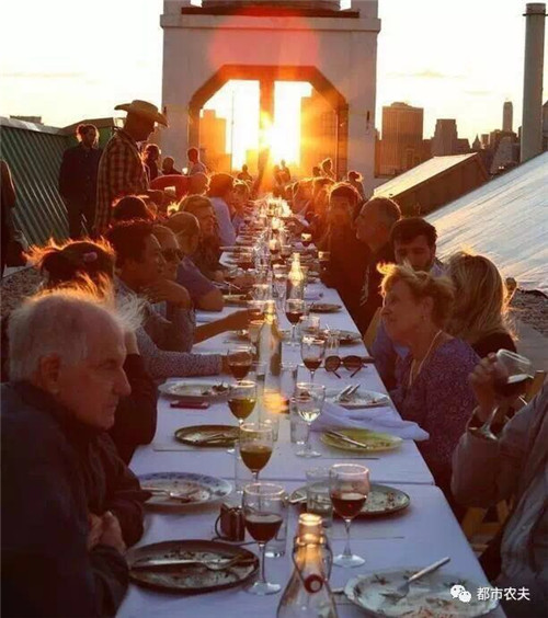 全球最大屋頂菜園如何運營