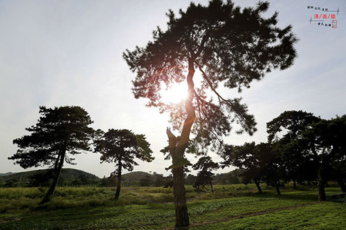 北京天壇之外還有一處回音壁——清西陵