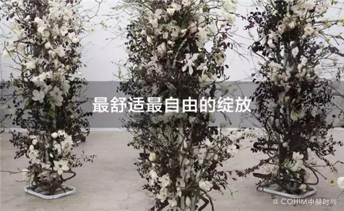 花藝設(shè)計(jì)：森林風(fēng)景觀花藝跳出花藝同質(zhì)化！