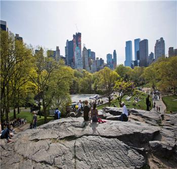 中國風景園林網