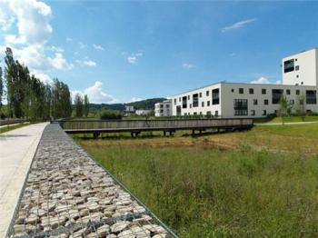 中國(guó)風(fēng)景園林網(wǎng)