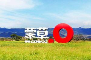 蒙草生態擬募資10億元緩解資金窘境