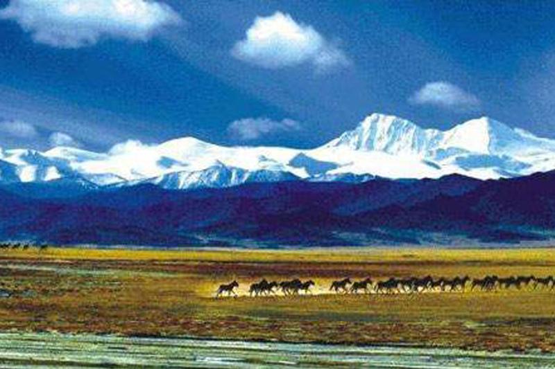 青海發布《三江源國家公園公報（2019）》