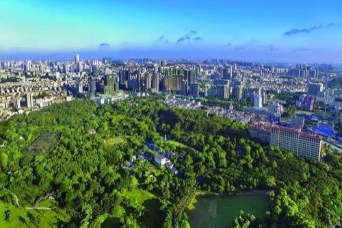 嶺南股份：行業重啟 信心充足