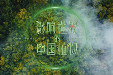 環境文化產品,再豐富些