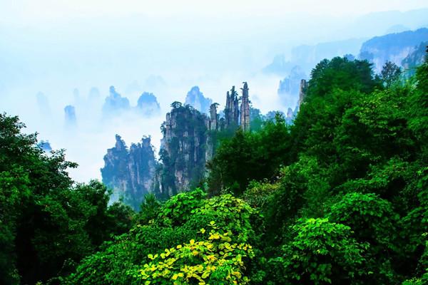 國家級森林公園總體規劃審批管理辦法修訂施行