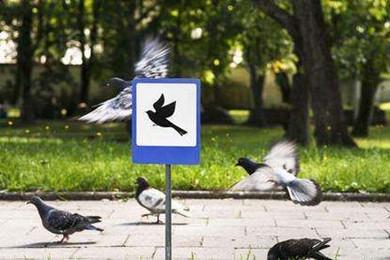 城市建設急需關注生物安全