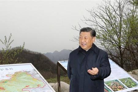 習近平：要做守護秦嶺生態的衛士