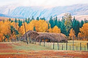 中國還會有多少“國家公園”出現？